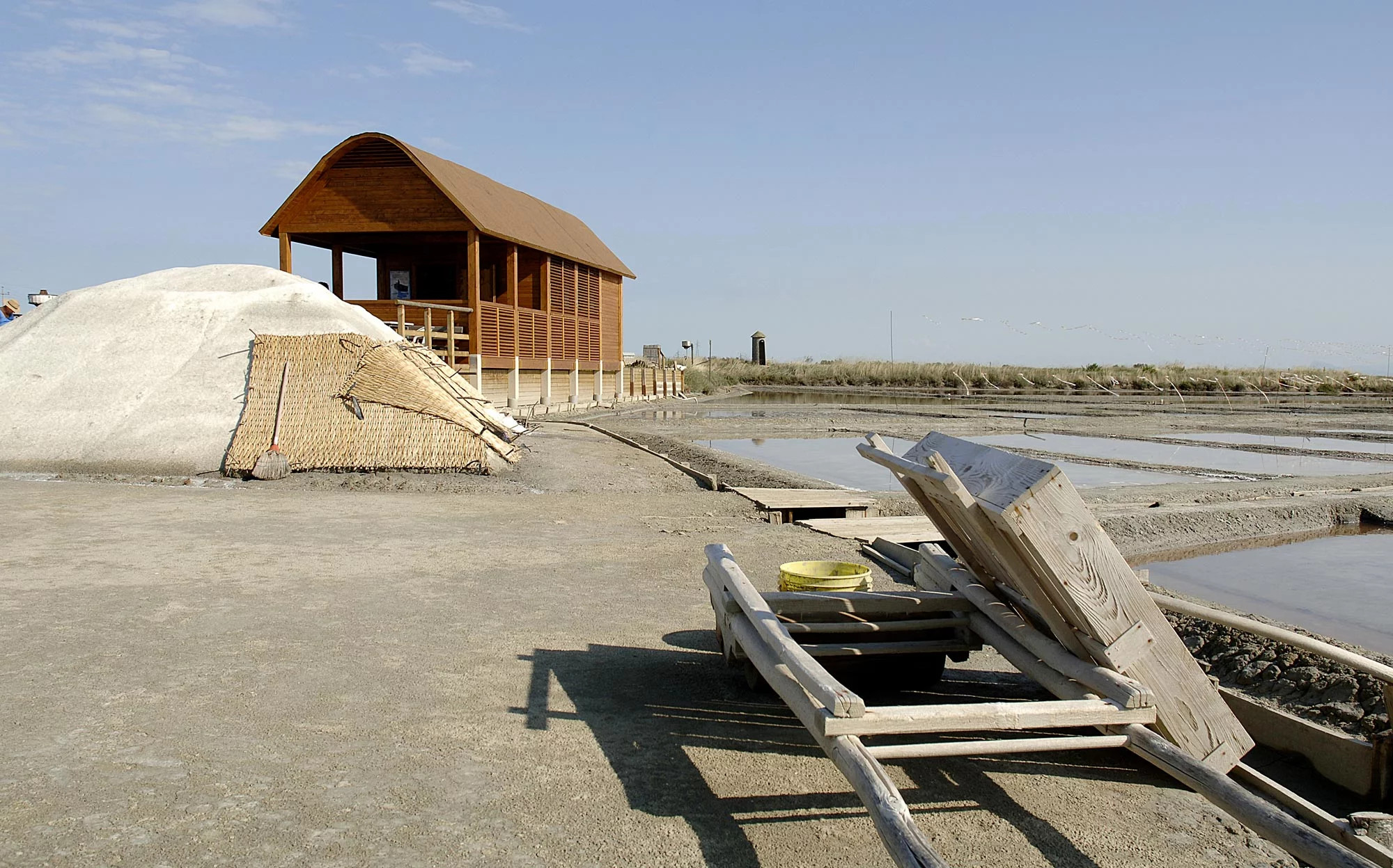 media.Slide-Musa-CFH-MichelangeloMilanoMarittima