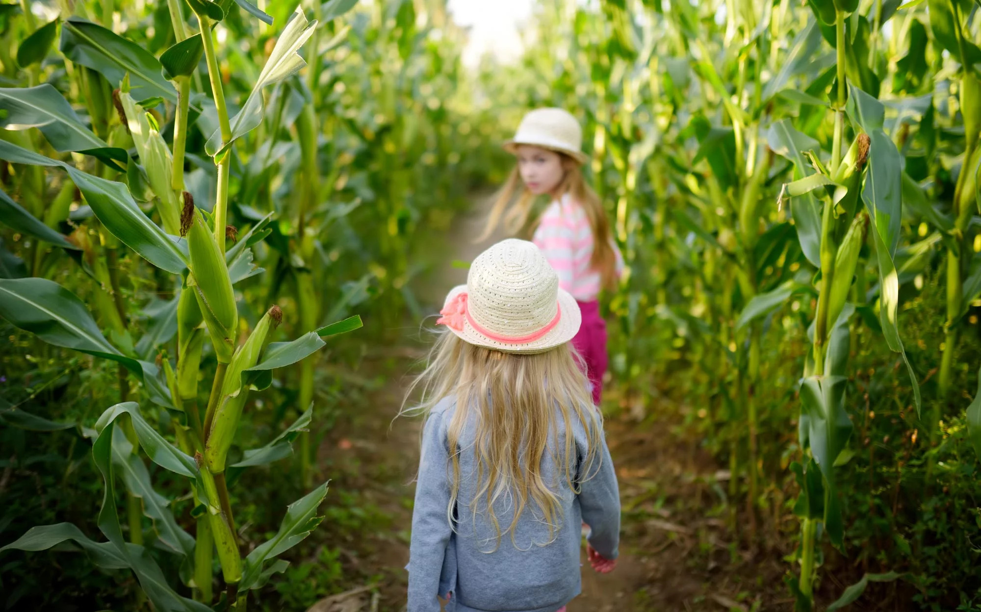 media.SlideLabirinto-CFH-MichelangeloMilano-Marittima