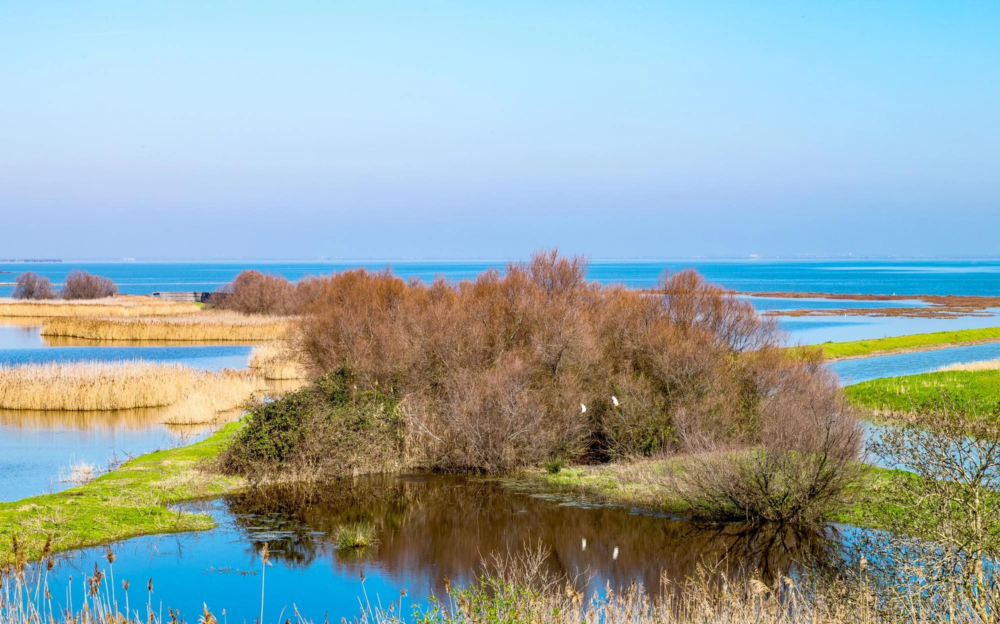 media.SlidePo-CFH-MichelangeloMilano-Marittima